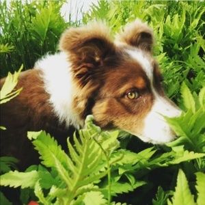 Meet your Posher, William